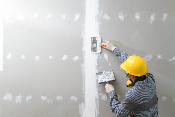 Mold Remediation for Rental Properties in Palmer, AK