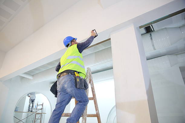 Best Environmental Consulting for Mold Prevention  in Palmer, AK